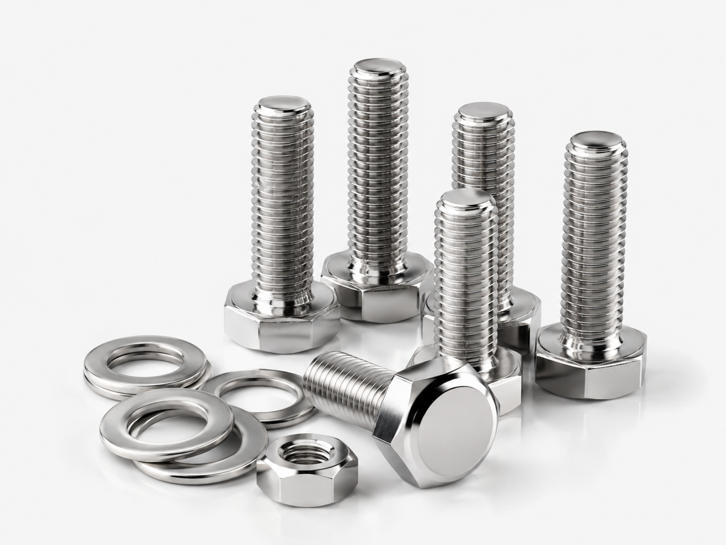 SS Fasteners